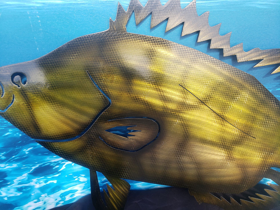 Thumbnail: Triple Tail