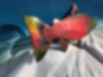 Thumbnail: Chinook  Atlantic Salmon King Salmon