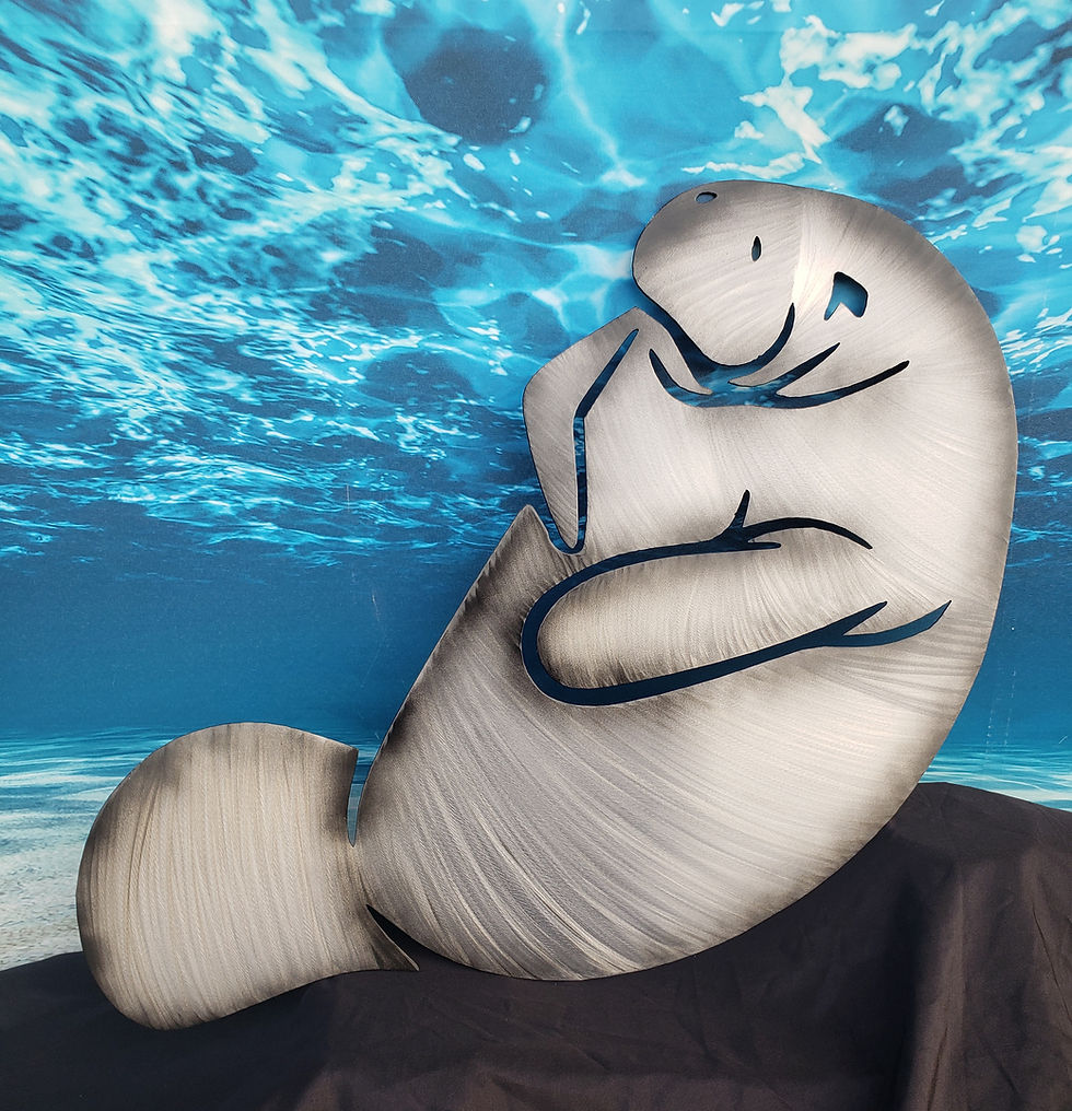 Thumbnail: Manatee