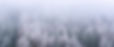 _A7R7136-2.jpg