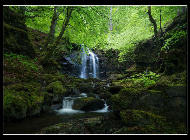 _DSC6382.jpg