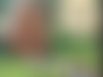 Intégrité et honnêteté des personnes autistes : des risques d'abus en situations professionnelles