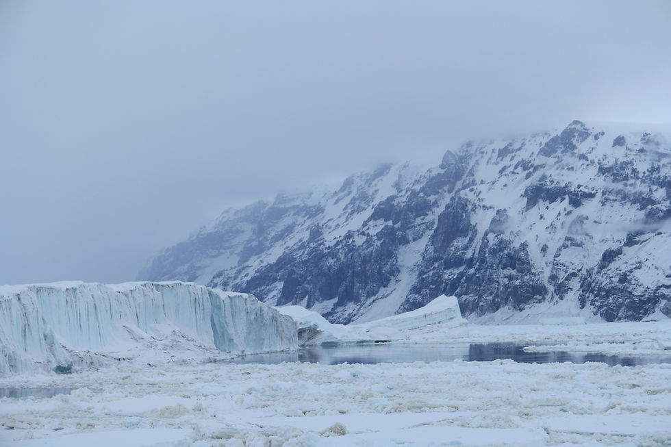 Ross Sea Polar Expedition