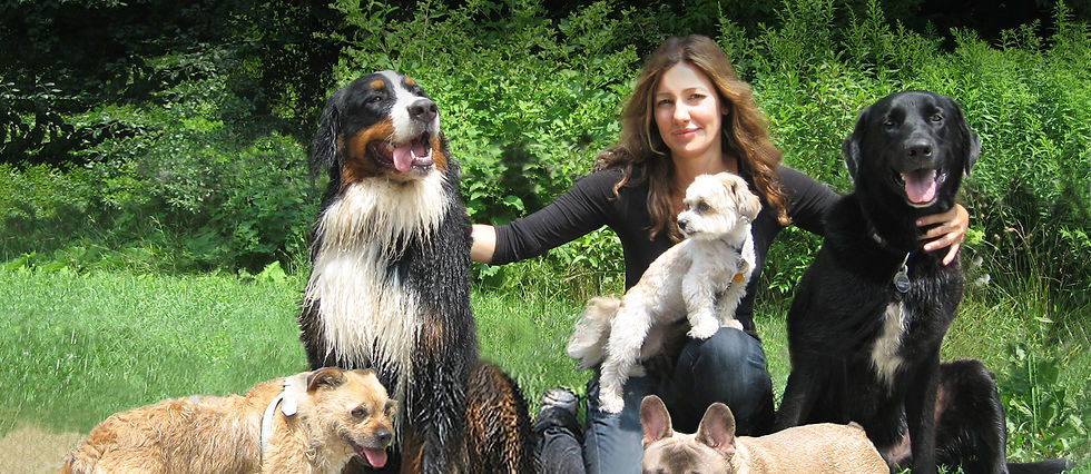 About One Lucky Dog