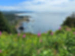 Spyglass Dining at The Inn at Otter Crest36_edited.jpg