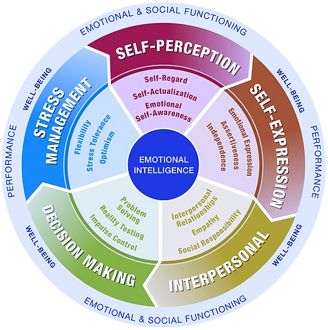 Emotional Quotient Inventory(EQ-i 2)