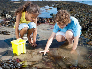 Embark on an Otter Rock, Oregon Tide Pools Family Adventure