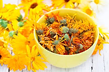 Calendula - Calendula Cfficinalis