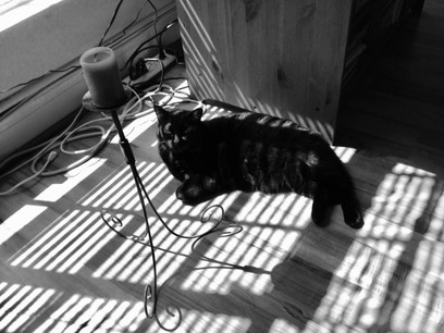 IMG_1311.jpeg