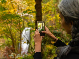 Your Guide to See the Best Fall Foliage Oregon Has to Offer