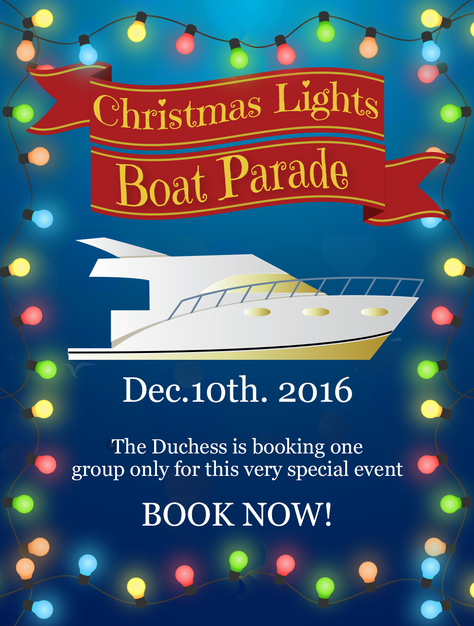 Don't miss the Holiday Lights Boat Parade!