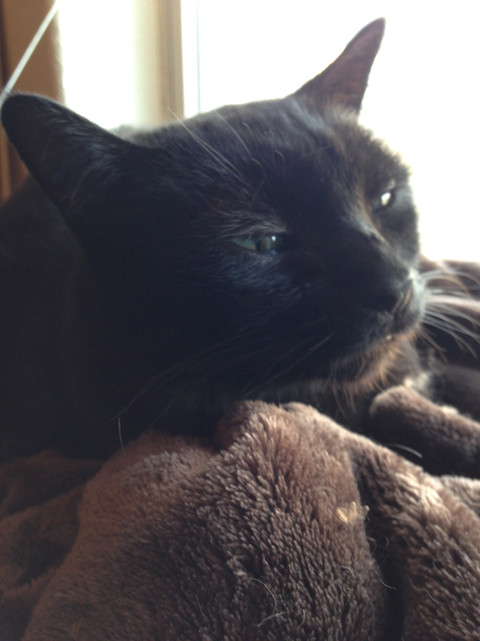 IMG_1806.jpeg