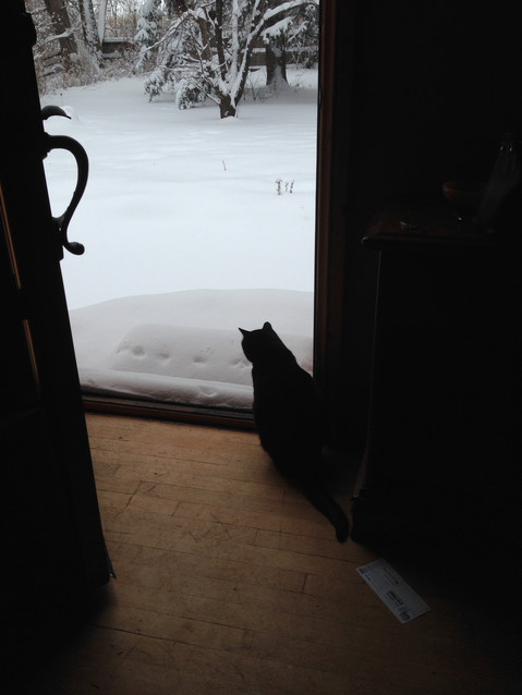 IMG_2676.jpeg