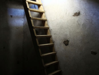 Are Shame and Fear Keeping You from Living Authentically?