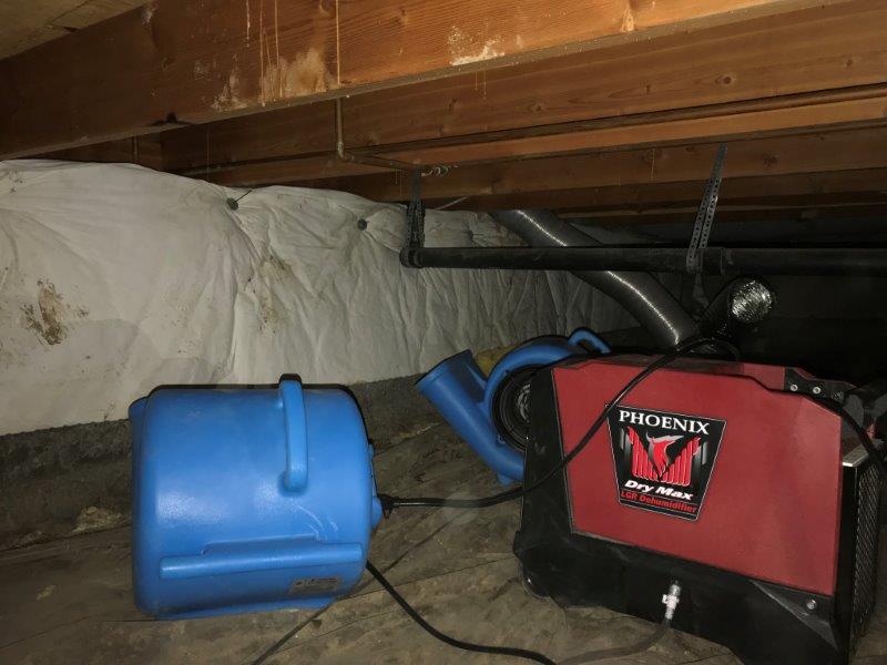 Water Damage