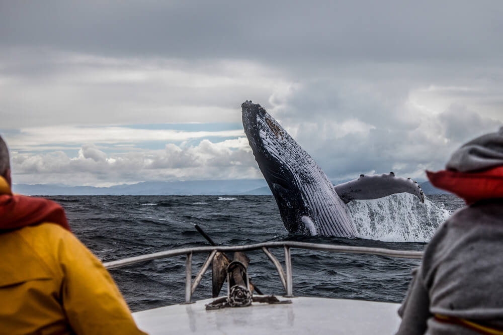 5 Fantastic Depoe Bay Activities for Spring Break