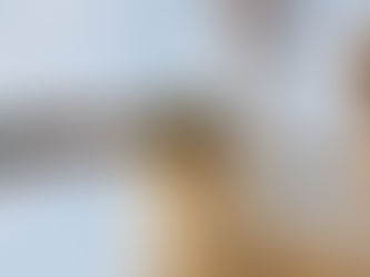 Discover Memorable Newport Summer Events