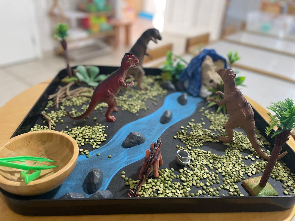 Radiant Wisdom Preschool Aruba12.JPG