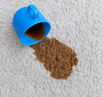 Heaven's Best Carpet Cleaning Vancouver Upholstery, Commercial, Hardwood Floor Cleaning Cl