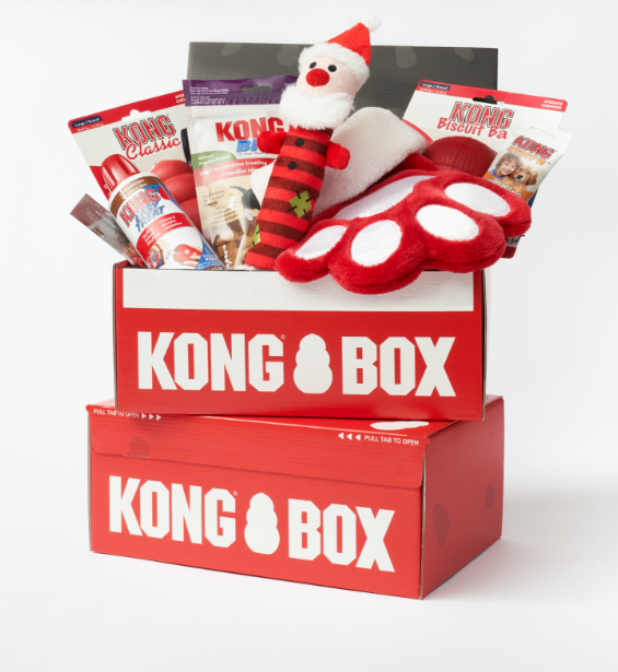 Two red kong boxes sit on top of each other. One has treats and Christmas themed toys.