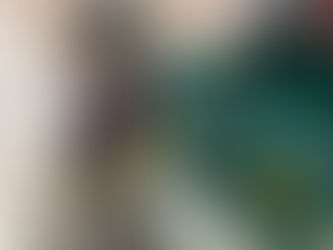 Public Access Laws for Service Dogs in Training 