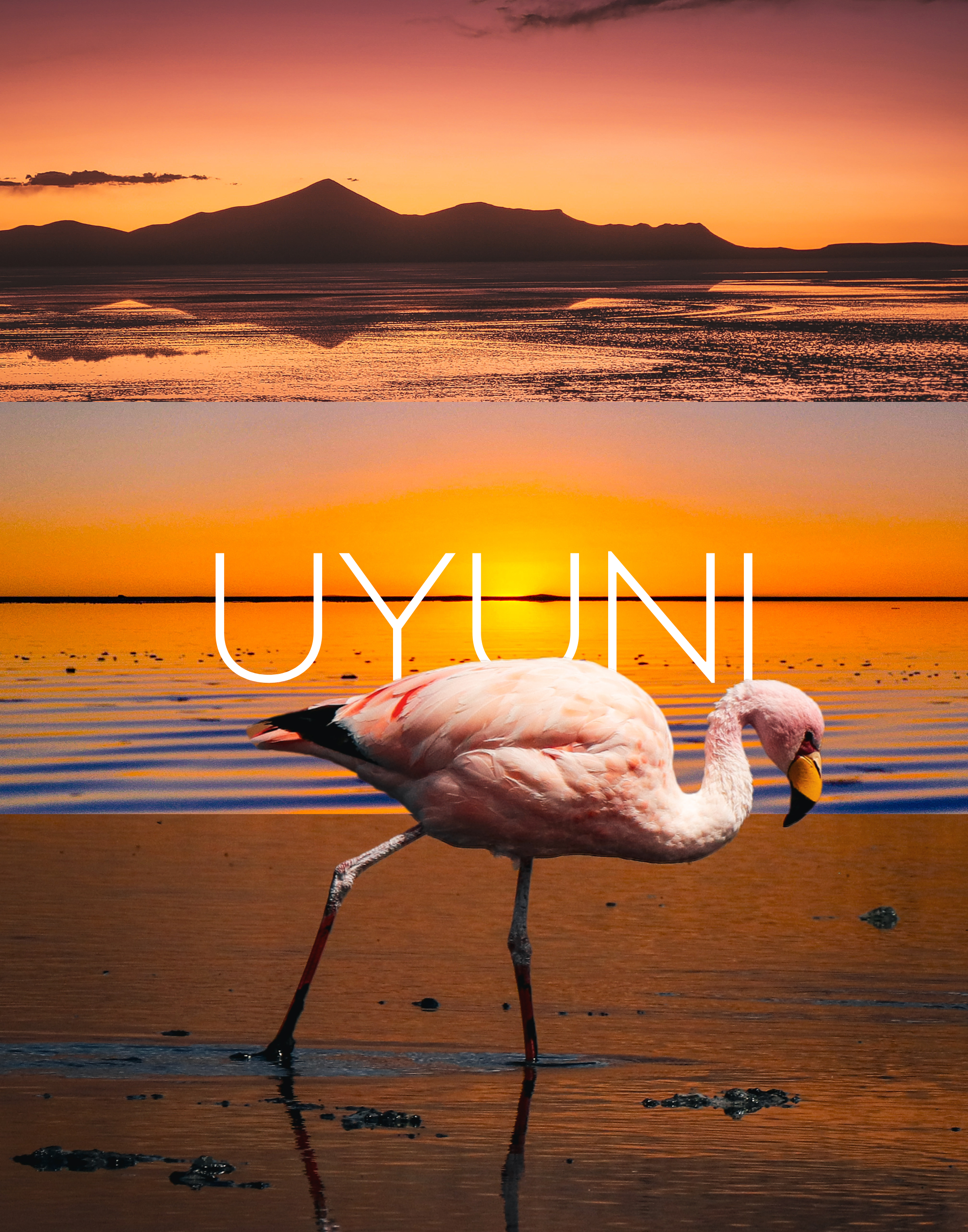 Uyuni full day