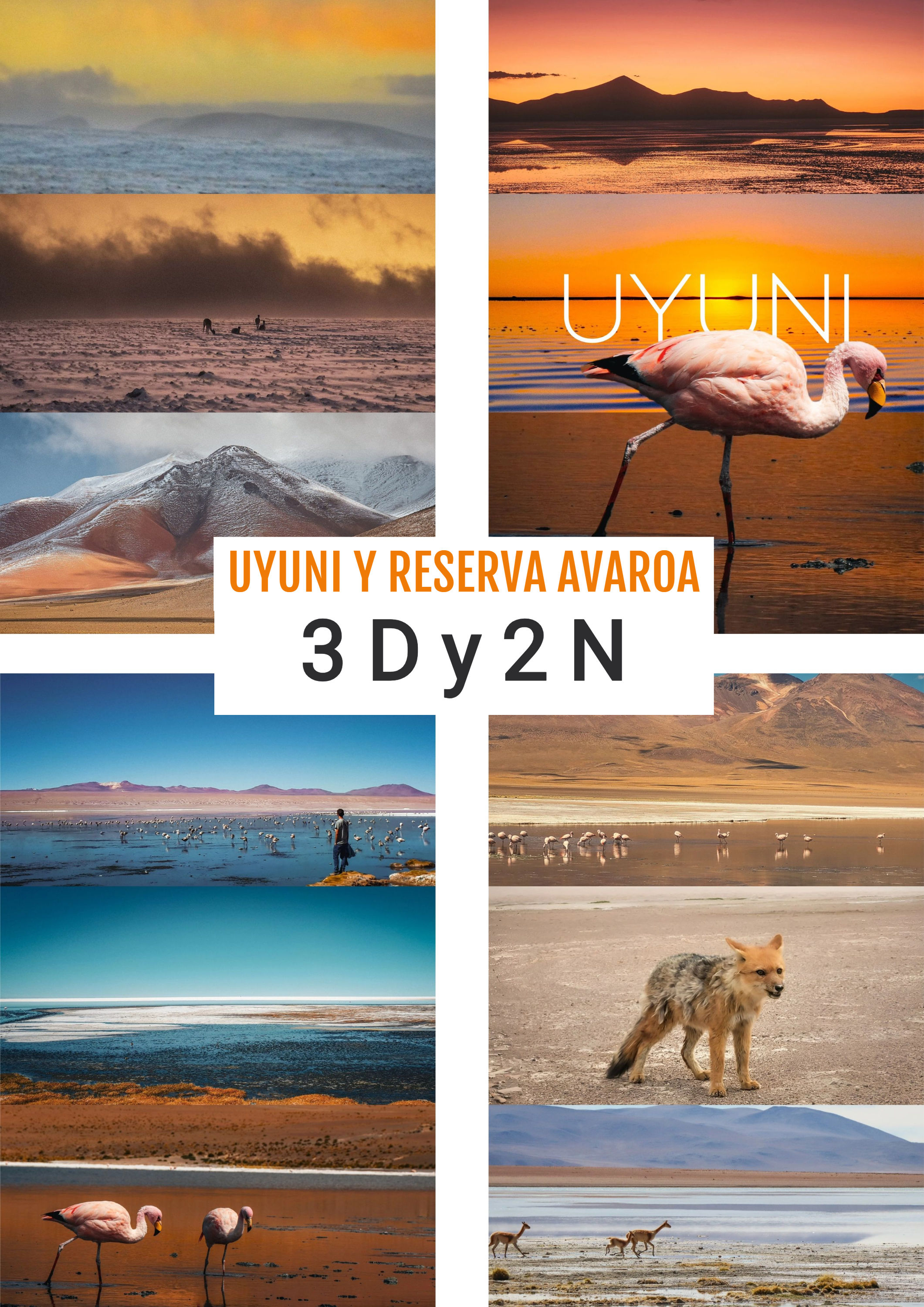 Salar de Uyuni y Avaroa 3D y 2N