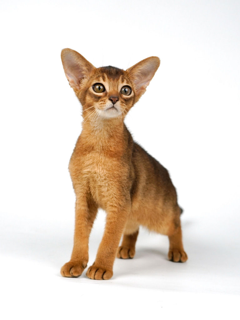 Thumbnail: Meiko 2024/3/5