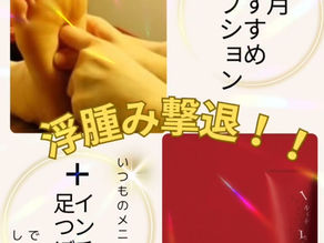 【6月おすすめオプション】