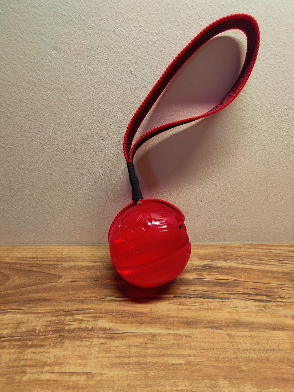 Miniature : K-9 Balle de détection et de motivation pour chiens