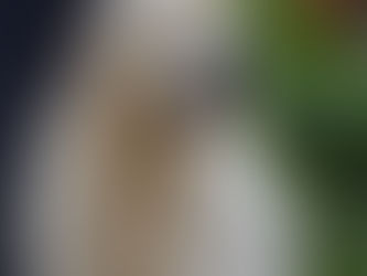 Luxembourg Retriever Clubshow