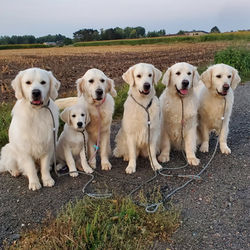 542726445_18529571683029134_732237911287690697_n