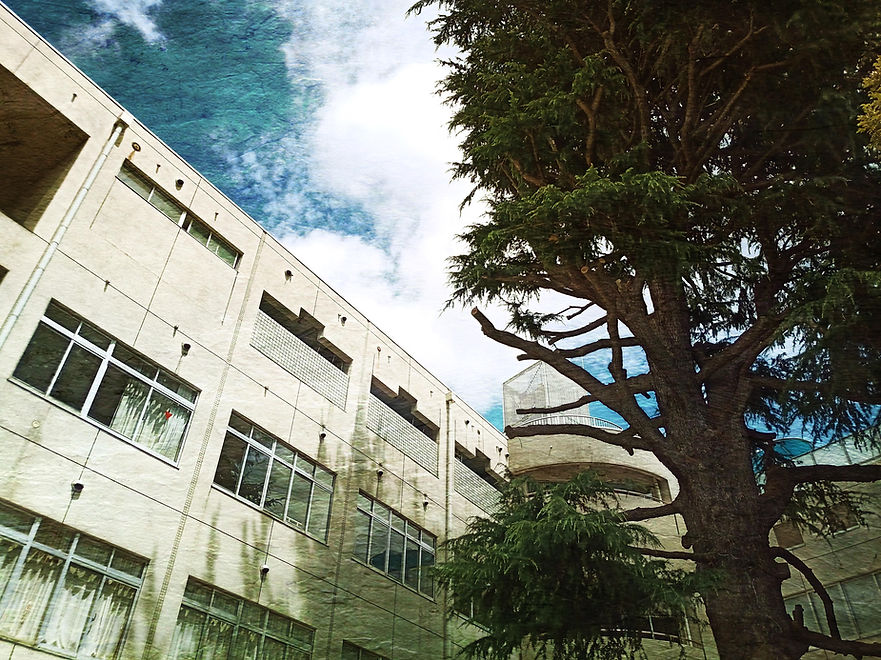 学校画像1.jpg