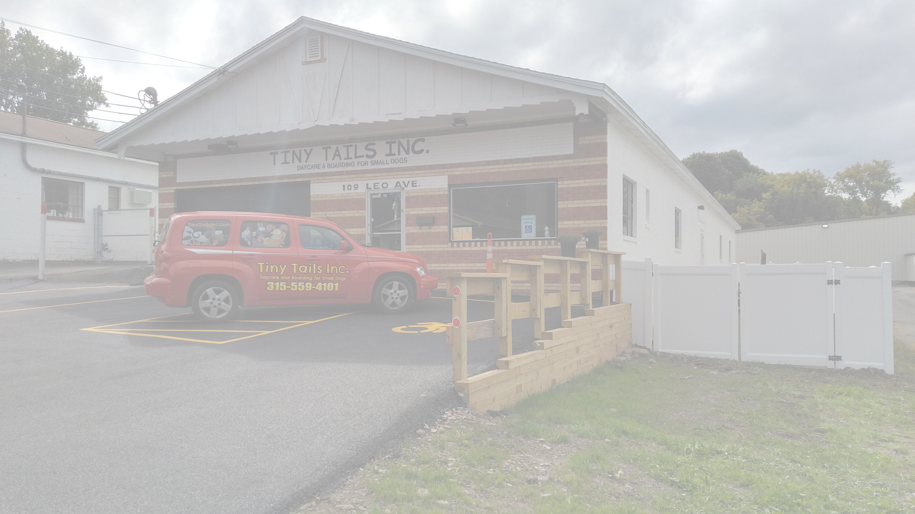 Tiny Tails of Syracuse Incorporated