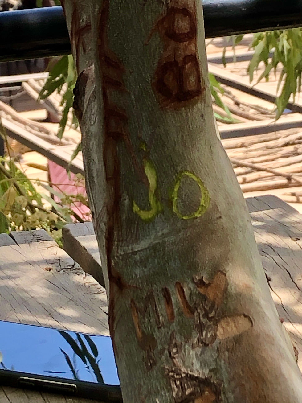 ree