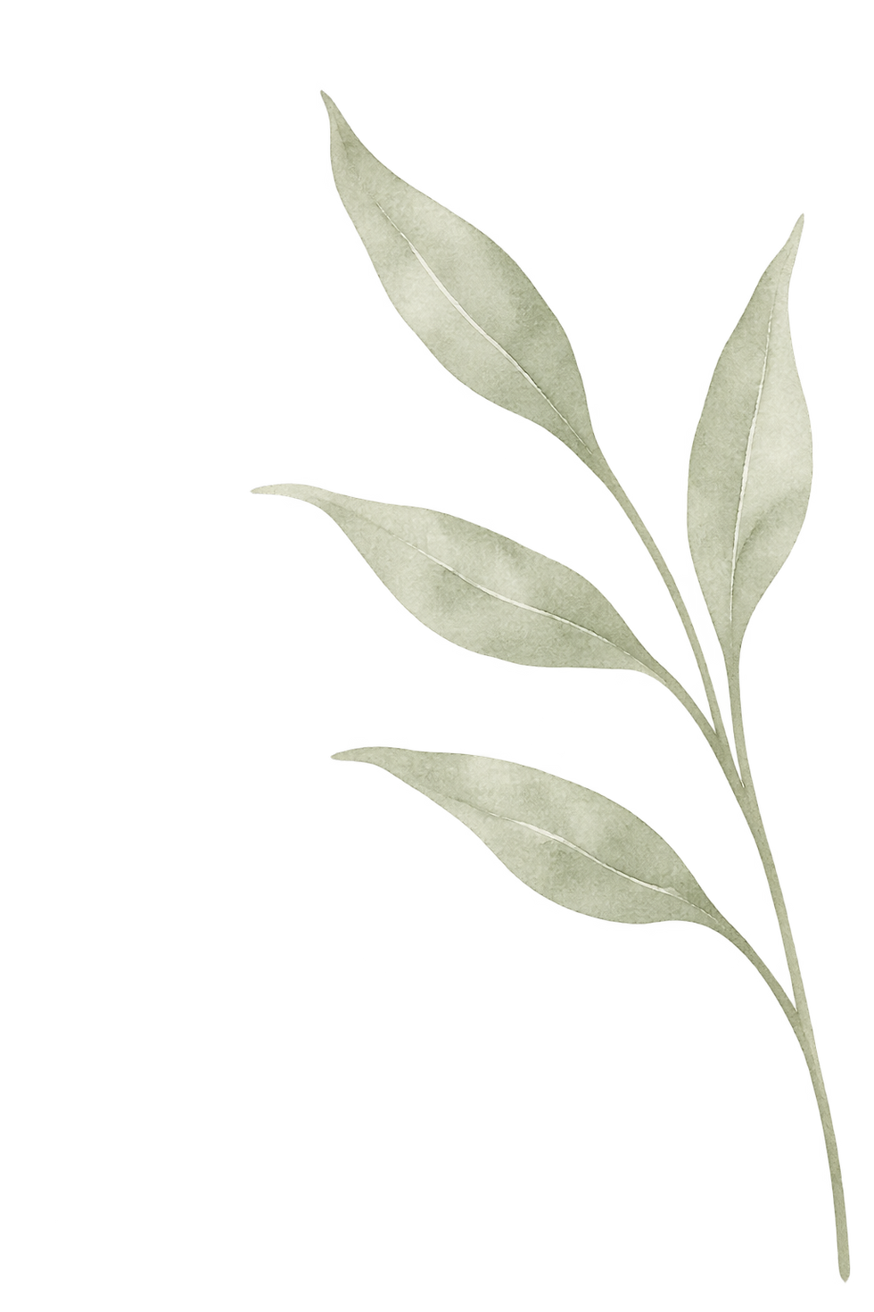 a4ead32d-167e-47e3-a174-beb5dafd2cdf.png