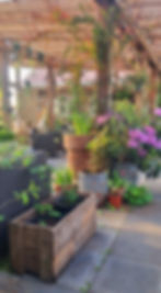 Atrium Garden Summer 2025