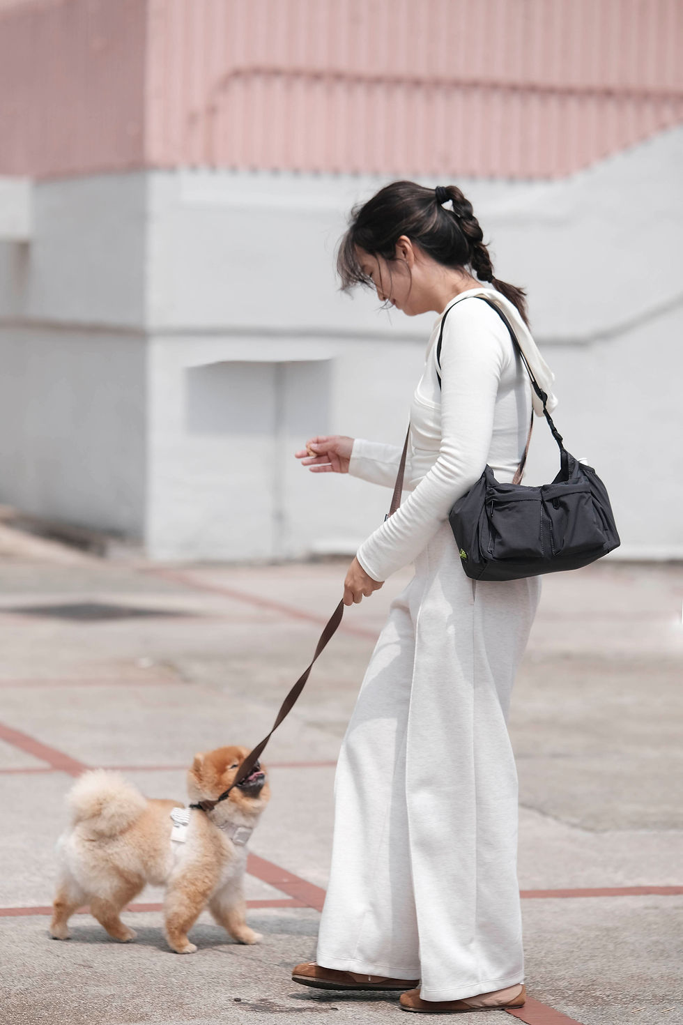Thumbnail: WALK BAG 2.0 遛狗外出包 寵物袋 - 深灰色