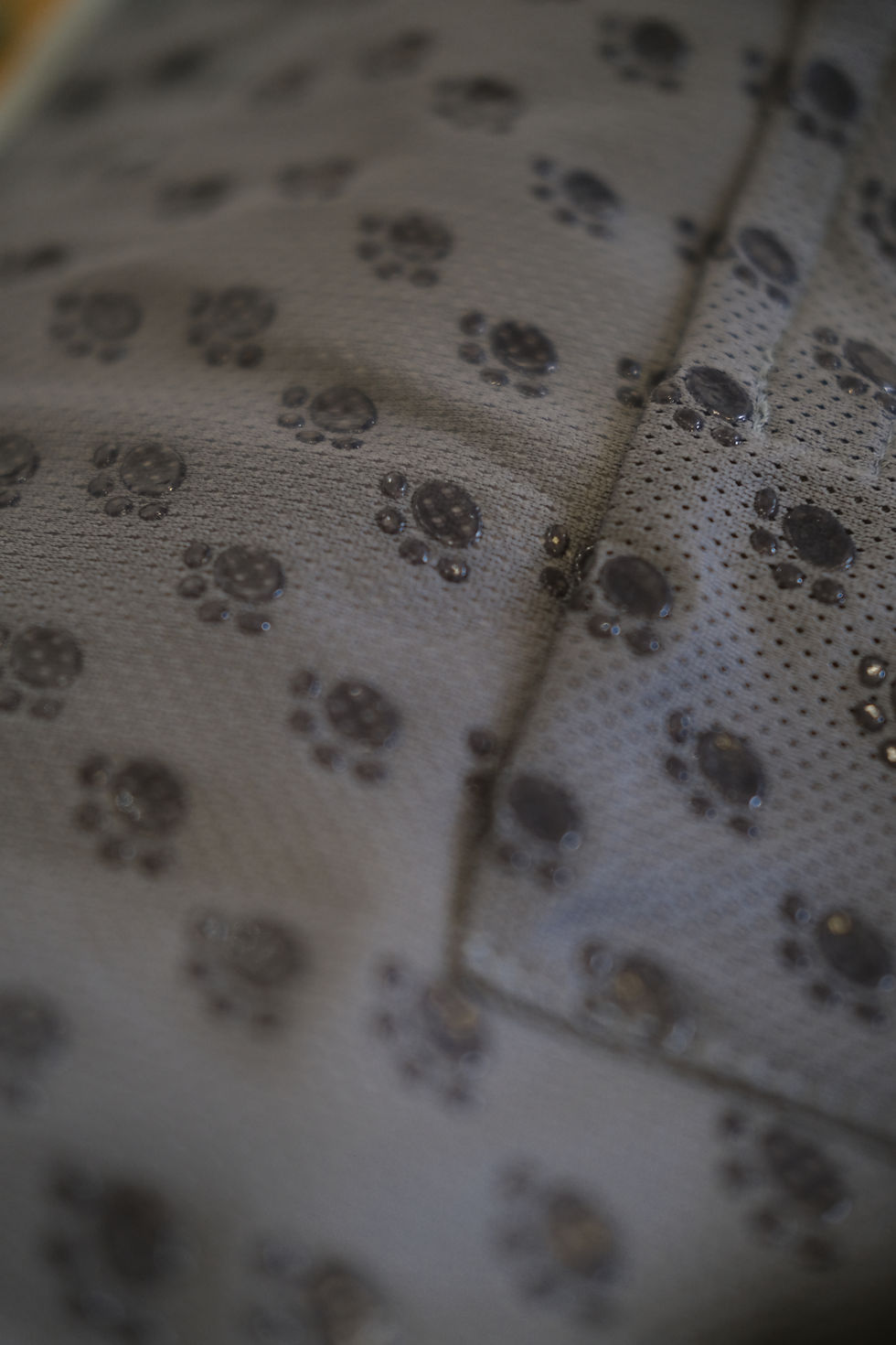 Thumbnail: (S 細碼)Comfort Mat (w/ grippy dots)