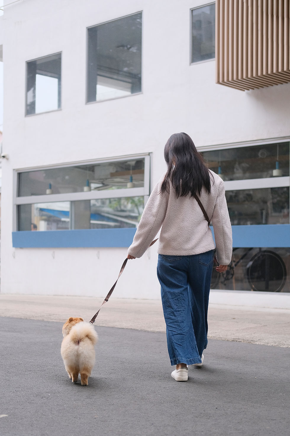 Thumbnail: Omni Leash 3合1狗帶 | 摩卡棕 Mocha Brown (電話/相機帶)