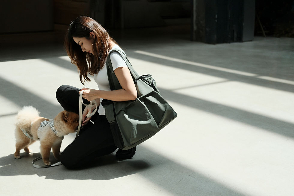 Thumbnail: MONGSTER TOTE 3.0 超輕便寵物袋 - 軍綠色