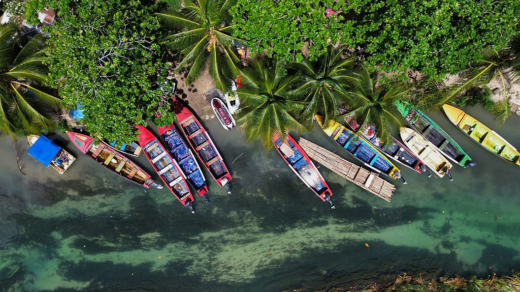 white-river-homepage-little-jamaica-anet-digital.jpg