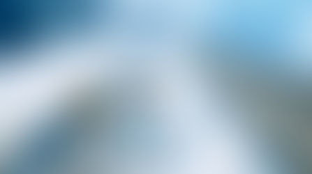 Rol D: Biomassa / Hidrògen com energia renovable