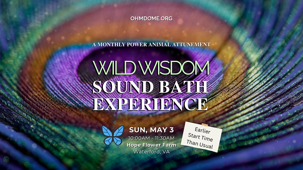 WILD WISDOM Sound Bath - 🦋 BUTTERFLY