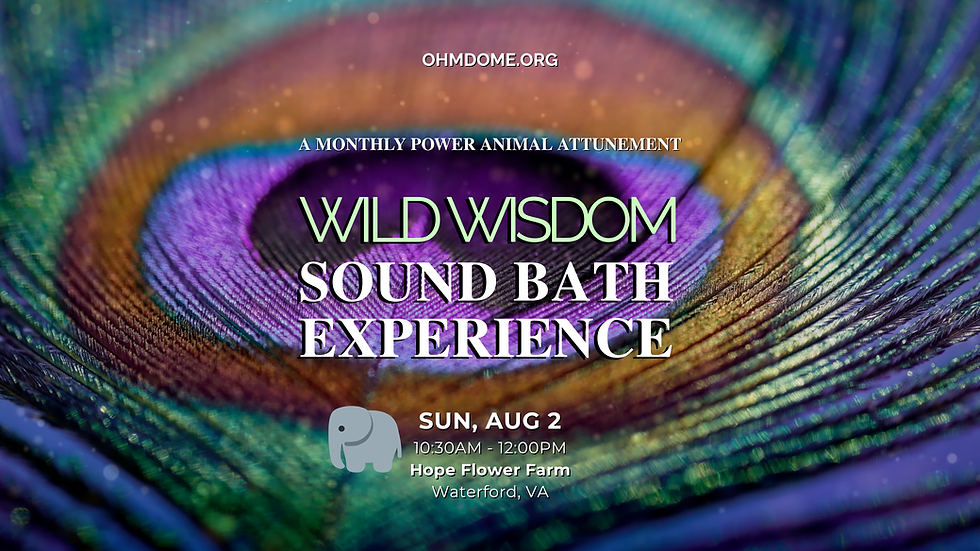 WILD WISDOM Sound Bath - 🐘 ELEPHANT