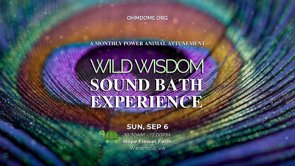 WILD WISDOM Sound Bath - 🐢 TURTLE