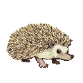 Harinezumi.png