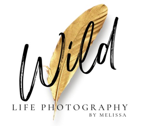 Wild_edited.png