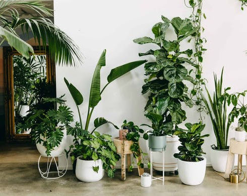 GREENASSEMBLEY-PRODUCTSHOOT-OCT2018-136.