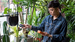 how-to-measure-light-for-plants_1024x102
